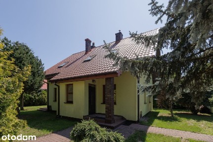 rn385724