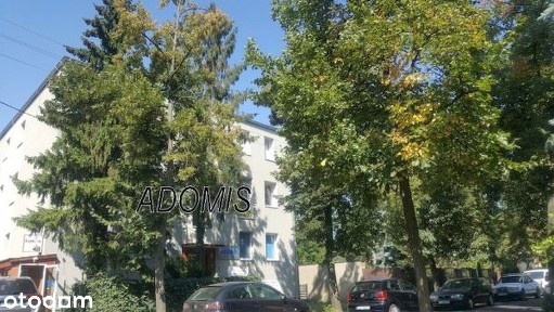 GRUNWALD WILLA, na biura 2 pokoje, zielona i spokojna okolica