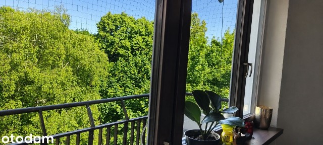 Wyjątkowe mieszkanie wśród koron drzew | Stara Nowa Huta