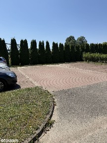 Lokal użytkowy, 180 m², Piastów