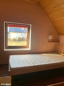 Mieszkanie / domek do wynajęcia z ogrodem