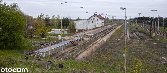 Hala/Magazyn, 20 000 m², Kluczbork
