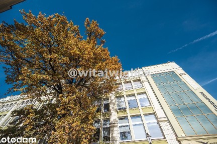 Centrum miasta, biuro 303m2,topowa lokalizacja!
