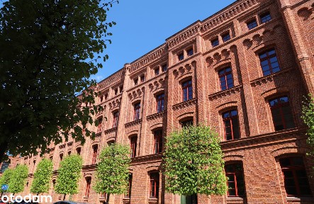 Lokal usługowy na wynajem- Famuły Poznańskiego - Ogrodowa 24 Łódź
