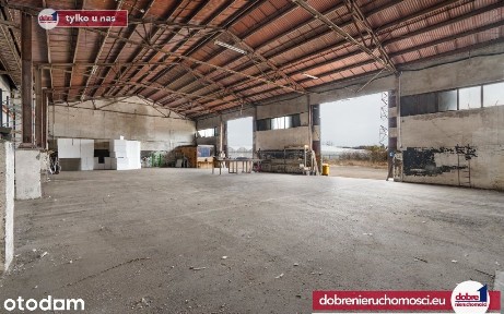 Hala 480m2 | bramy 5,5m | Tir różne powierzchnie