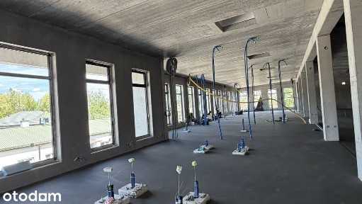 Biura | Magazyny | Usługi - wszystko w jednym miejscu