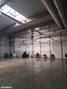 Hala + zaplecze socjalno biurowe 1700 m2