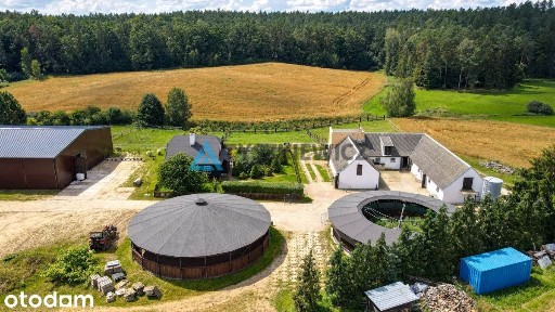 Stadnina koni, gosp.rolne stajnia