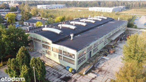 Hala po modernizacji z dużym placem i suwnicami - KSSE Bytom