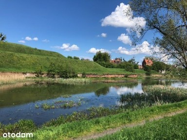 Pomieszczenie biurowe do wynajęcia 17,30 m2