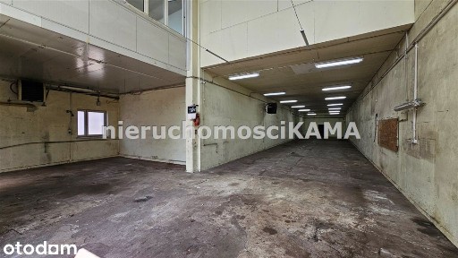 Hala/Magazyn, 273 m², Bielsko-Biała