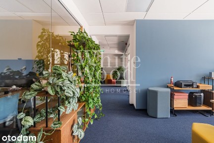 Nowoczesne biuro | 121,94 m² | Gdańsk Wrzeszcz