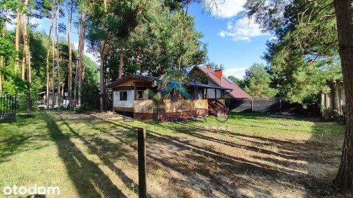 Działka budowlana z domem angielskim, las i Narew