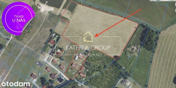 Siedlisko 3,65 ha Dom 130m2 Staw Małe Rudy Szubin