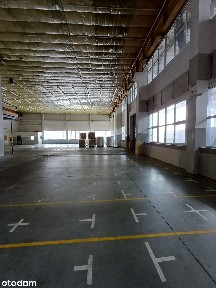 Hala 800 m² magazyn/ produkcja Kraków Rybitwy