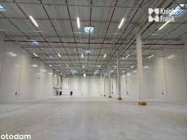 Magazyn 600 m2 + biuro / SBU Warszawa przy S8