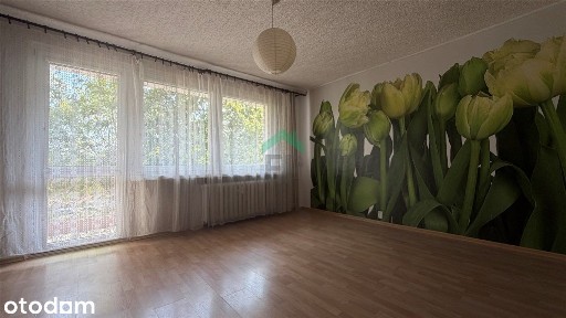 Kawalerka 34,2 m² Północ 1. piętro