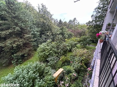 2/3 pokoje | 45 m² | Mistrzejowice | ul. Wiślicka