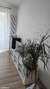 Mieszkanie do wynajęcia