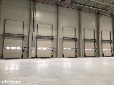 Magazyn na wynajem Lisi Ogon / 4 000 m2