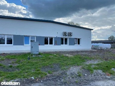 Hala 1050 m² z biurem i parkingiem - Stary Uścimów, po remoncie