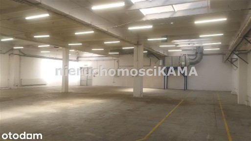 Hala/Magazyn, 1 190,25 m²