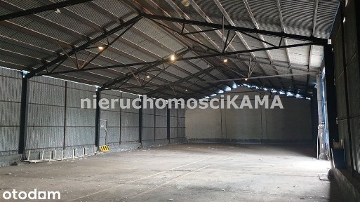 Hala/Magazyn, 783 m², Bielsko-Biała