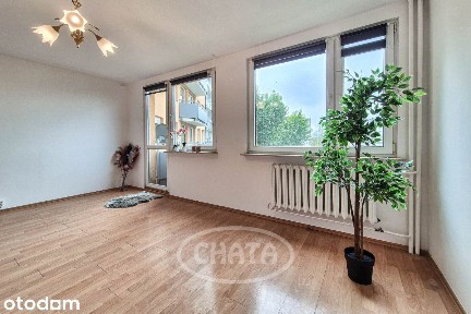 Strzegomska/Balkon/Rozkład/Winda/Media Miejskie