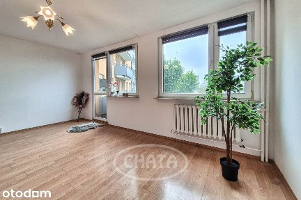 Strzegomska/Balkon/Rozkład/Winda/Media Miejskie