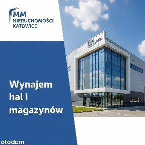 Osiedle Witosa, Katowice, śląskie