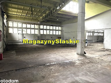 Centrum Południe, Zabrze, śląskie