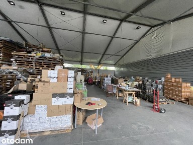 Hala 250 m2 dostępna od zaraz