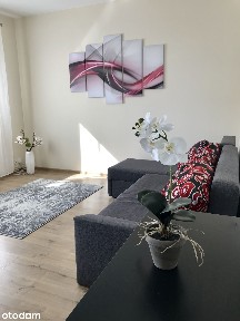 Piękne jednopokojowe mieszkanie