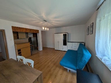 2-pokojowe mieszkanie ul. Pobiedziska, Poznań