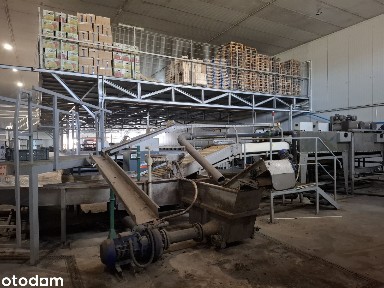 Przechowalnia owoców z zapleczem, pow. użytkowa 3 802 mkw, Machów