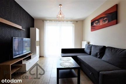 Ul. K. Komedy 3 pok balkon od 01.09.