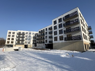 Brzesko, brzeski, małopolskie