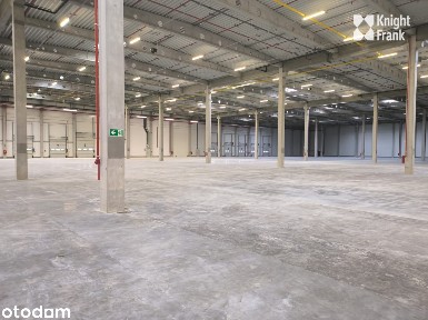 Magazyn na Żeraniu | 1225 m2 + 309 m2 biura | dostępne od 09.2027
