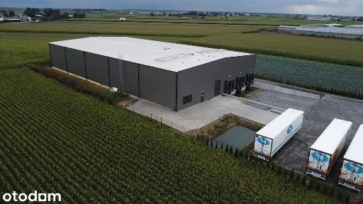Magazyn / hala magazynowa do wynajęcia z pełną obsługą logistyczną