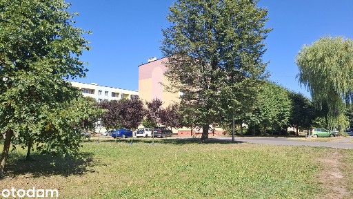 Mieszkanie 3 pokojowe z balkonem w Spokojnej Okolicy
