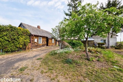 Ranczo, siedlisko, agroturystyka? Masz 3,8 ha tylko dla Ciebie