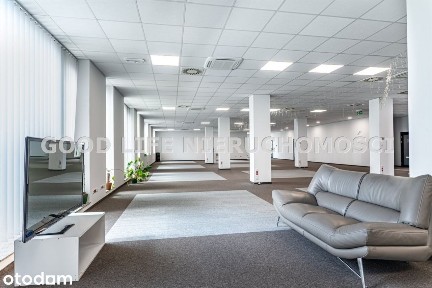 Lokal użytkowy, 615 m², Rzeszów