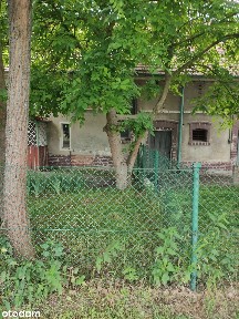 Dom wolnostojący ze stodołą i sadami