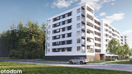 Z87 - Mieszkanie 31/M2
