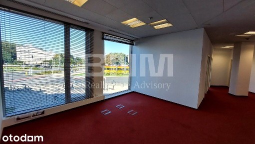 Biuro w kameralnym budynku | układ gabinetowy