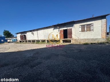 Hala Magazynowa Wynajem/sprzedaż - Działka 2500 m2