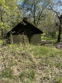 Stary dom z lasem 1,88 ha