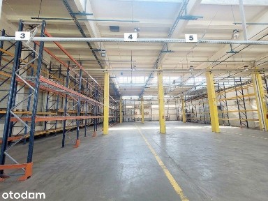 1625 m2 hala produkcyjno-magazynowa w Opolu