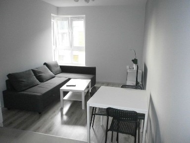 Mieszkanie 3 pokoje 55 m2 Kraków ul. Dąbska - REZERWACJA