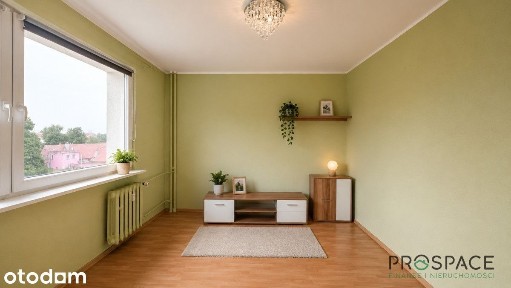 3 pokojowe mieszkanie w centrum miasta